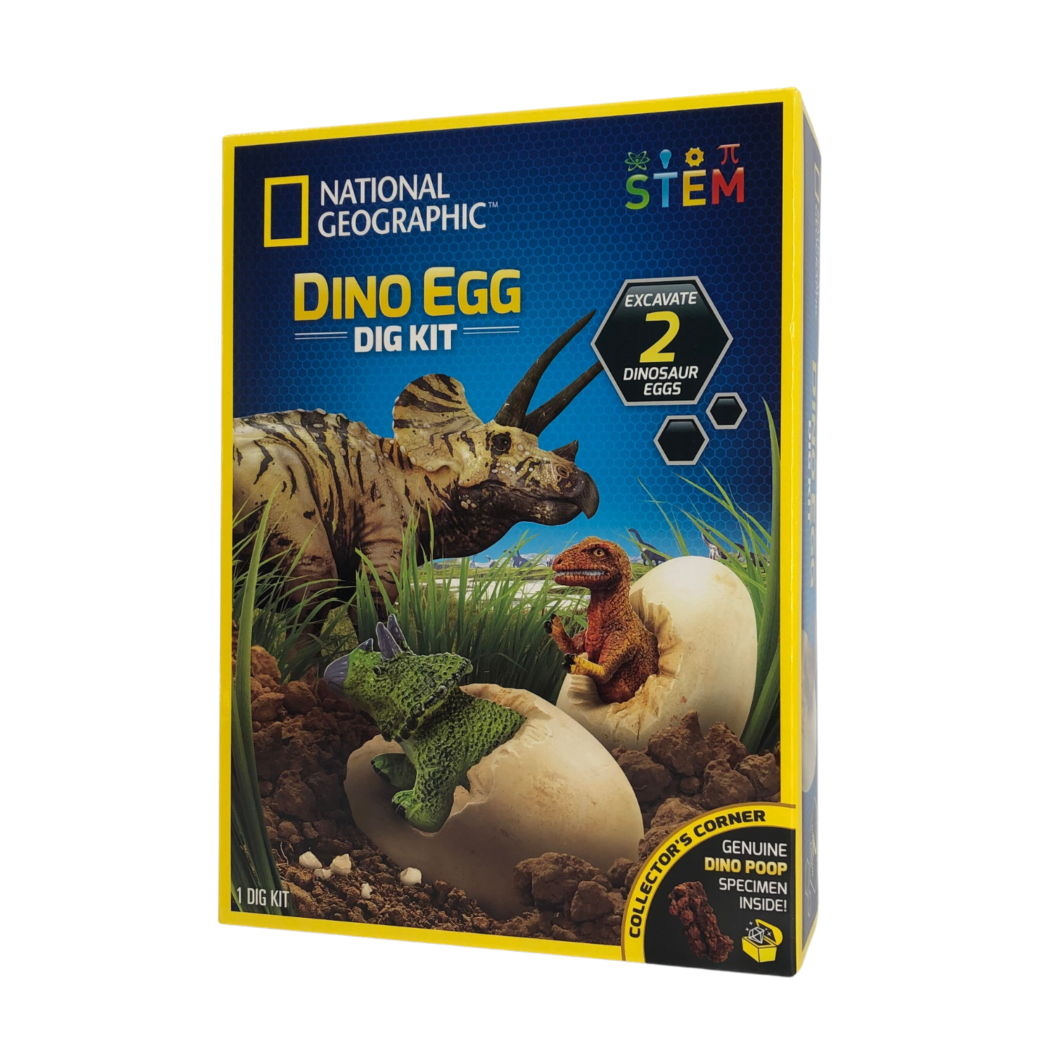Dino Egg Dig Kit