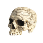 Steampunk Craniumography Skull Map