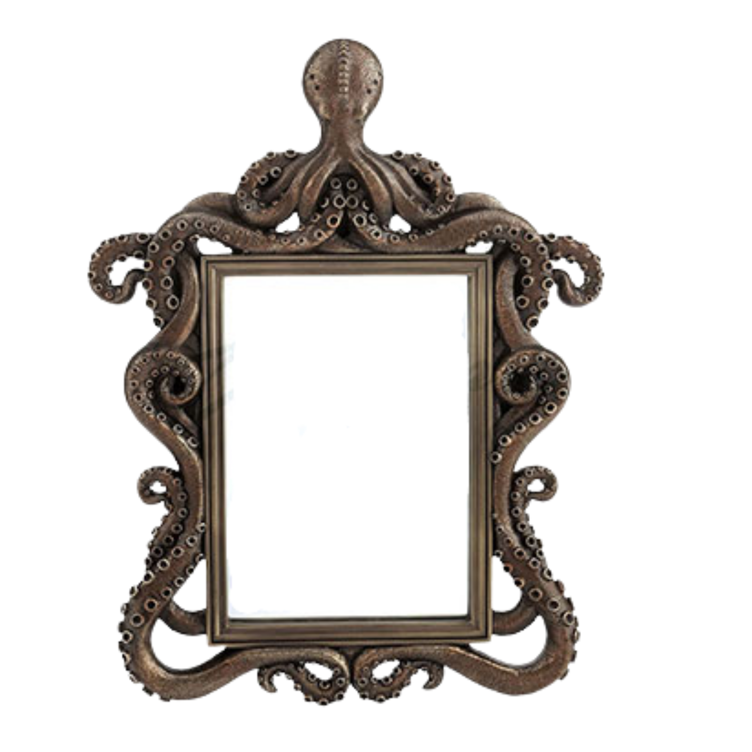 Octopus Mirror