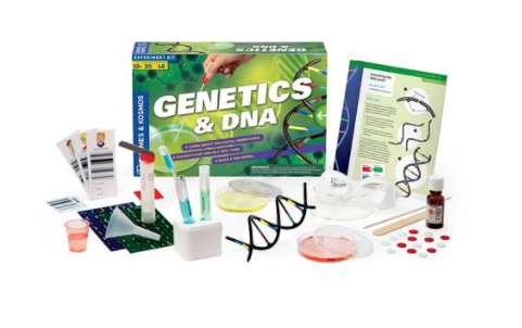 Genetics & DNA Experiment Kit – The Science Museum of Minnesota