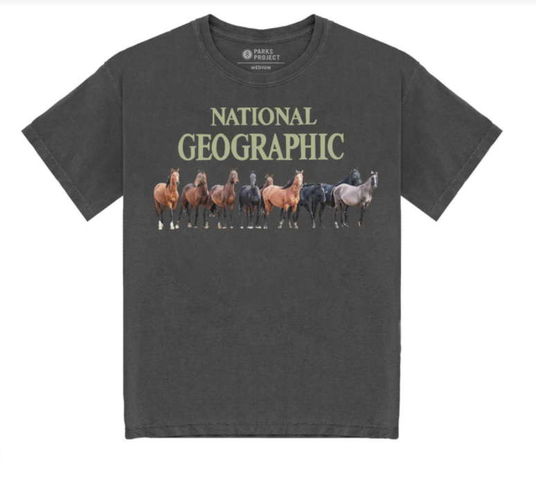 Stue læsning byrde National Geographic Wild Horses T-shirt (Adult) – The Science Museum of  Minnesota
