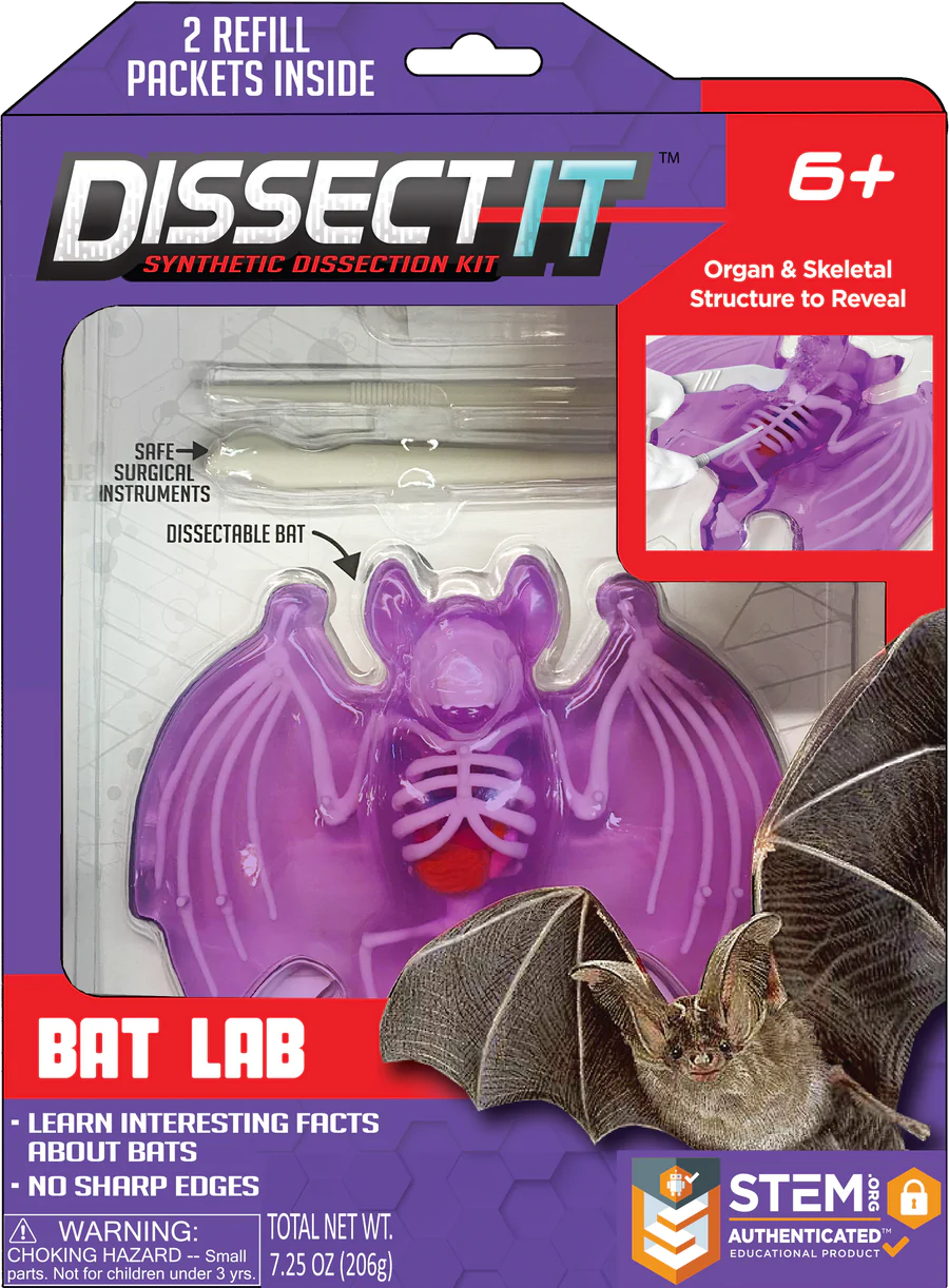 Bat Lab Dissect It Kit