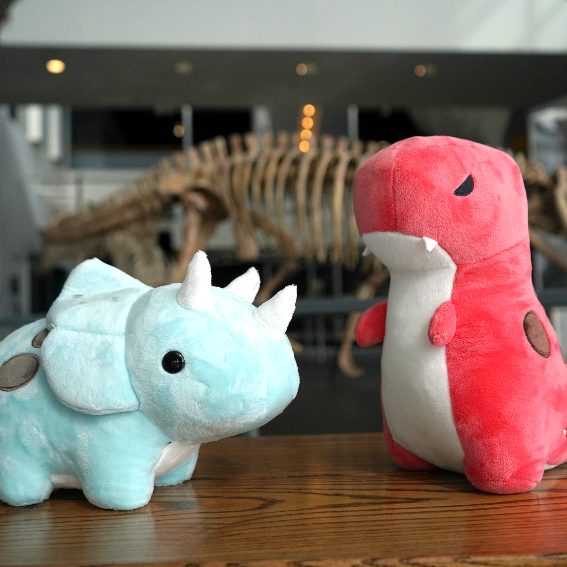 Seri the Triceratops Plush