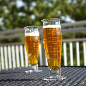 Beaker Pilsner Glasses