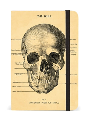 Skull Journal