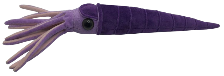 Nautiloid Plush