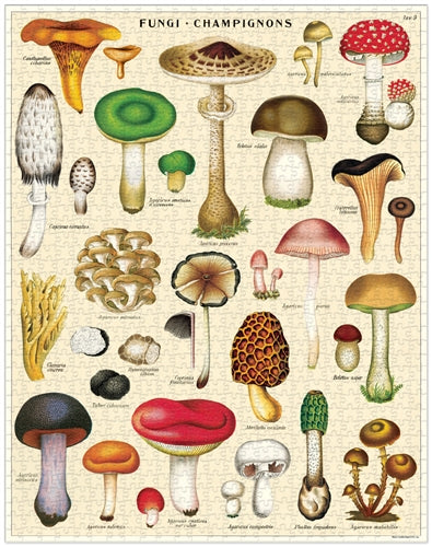 Mushrooms Vintage 1000 Puzzle
