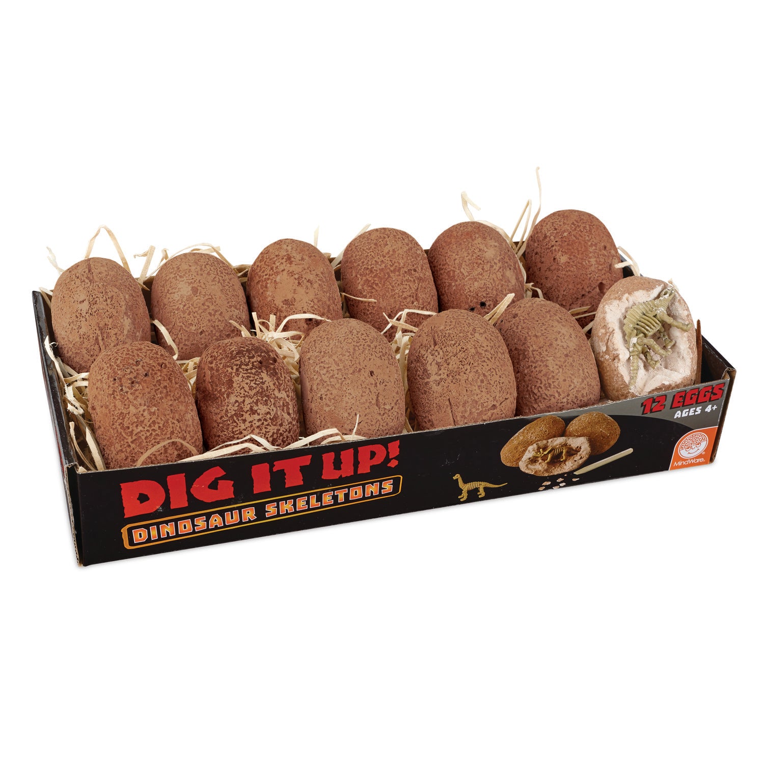 Dig it Up Dinosaur Skeletons Kit