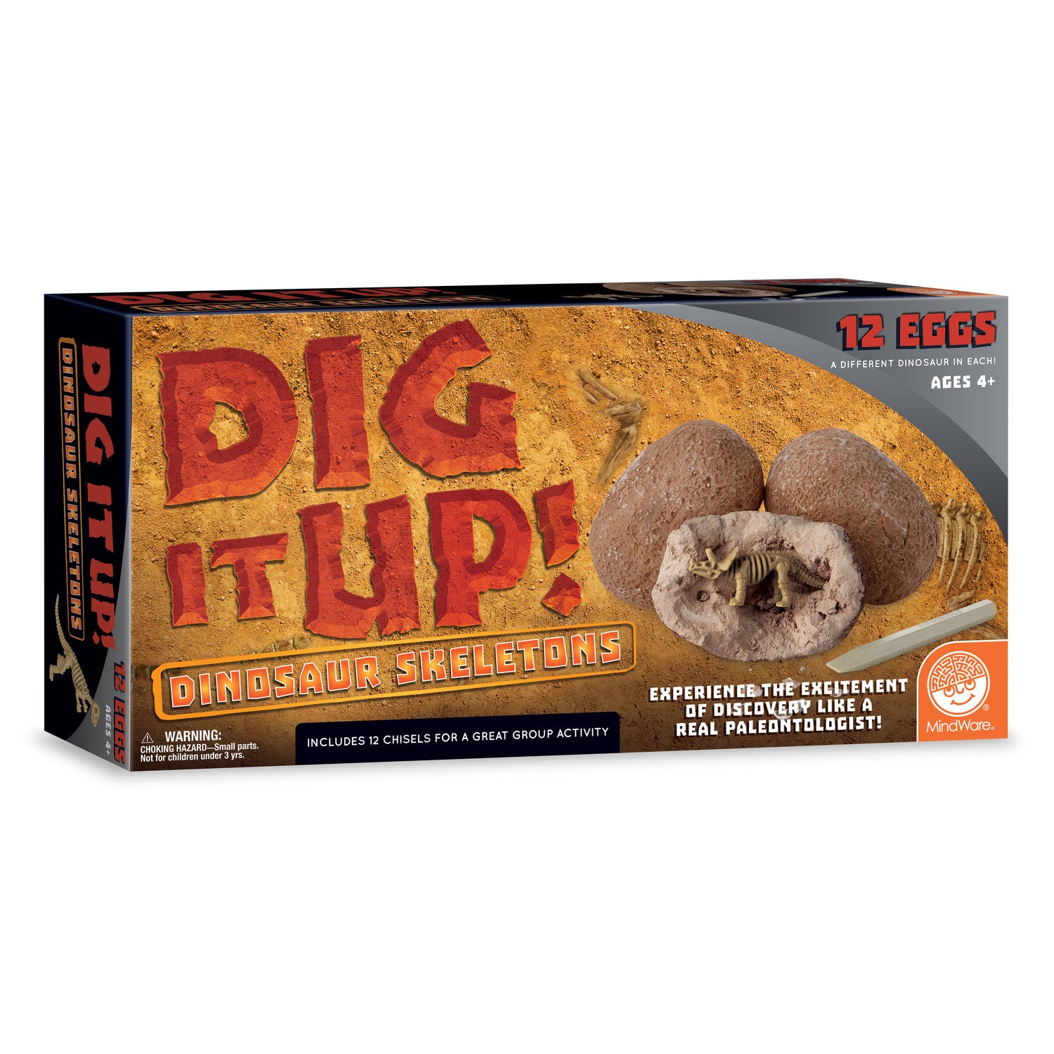 Dig it Up Dinosaur Skeletons Kit