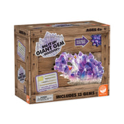 Giant Gem Discovery Kit