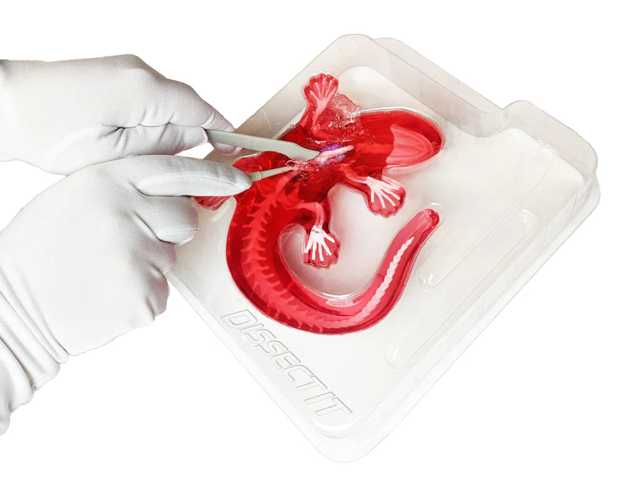 Salamander Lab Dissect It Kit