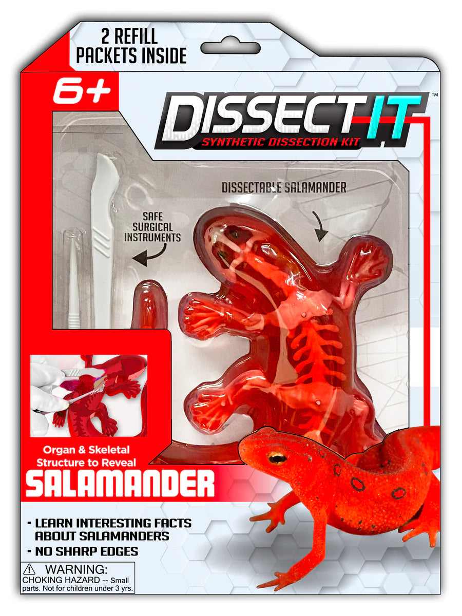 Salamander Lab Dissect It Kit