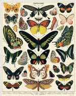 Butterfly Vintage 1000 Puzzle