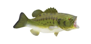 Large Mouth Bass Figurine