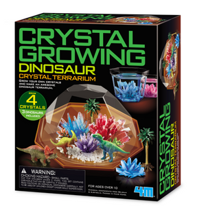 Crystal Growing Dinosaur Terrarium