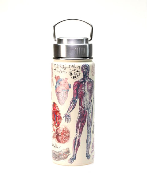 ThVasc_1_600xcopy_grande.jpg?v