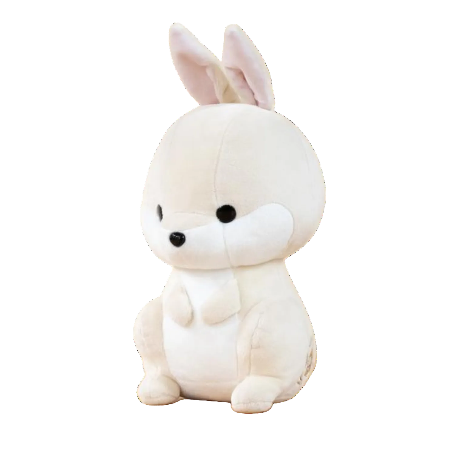 Bunni the Bunny Rabbit