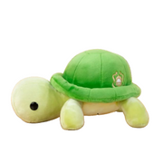 Torti the Tortoise