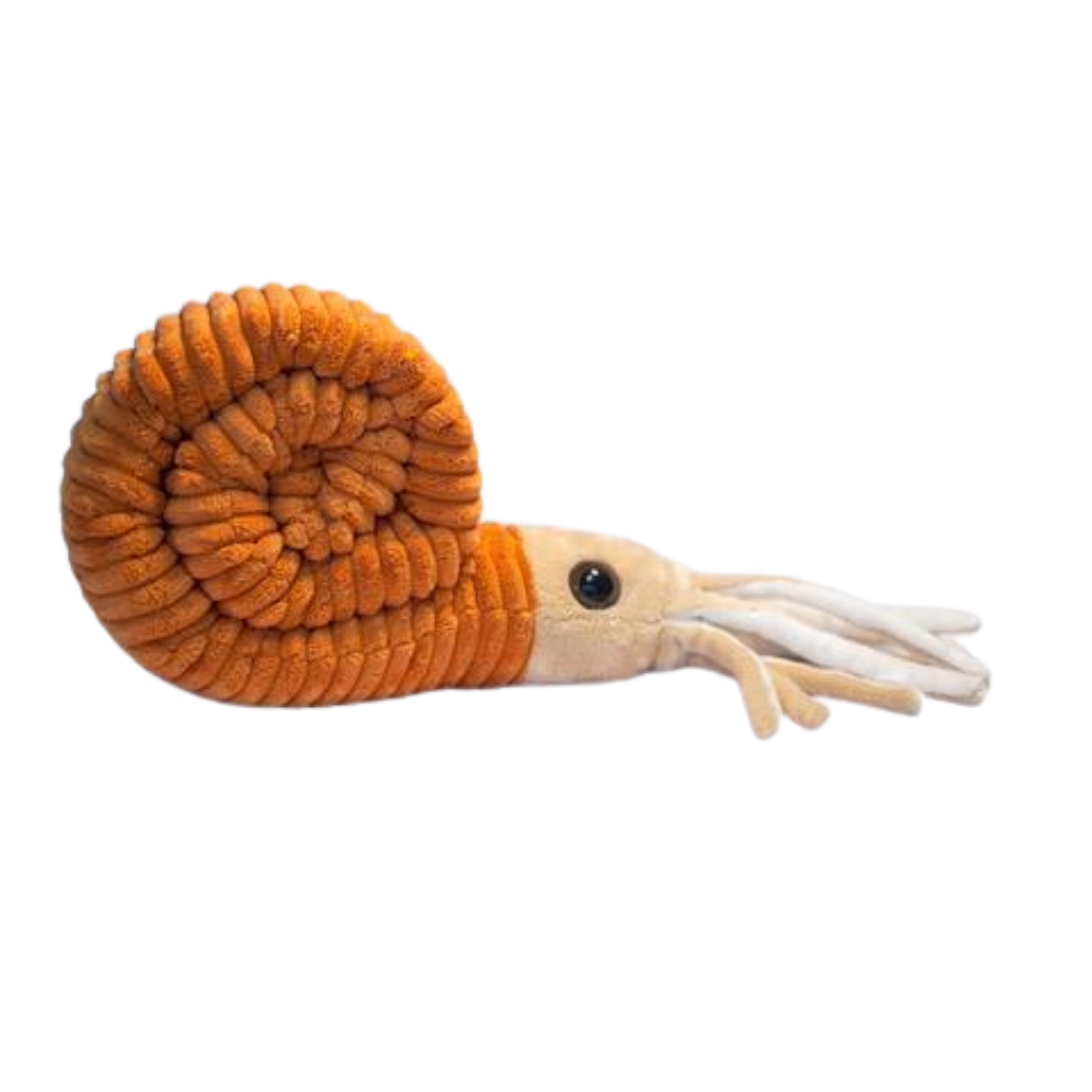 Ammonite Plush