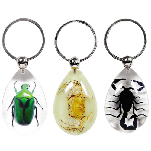 Bug Keychain $5.99