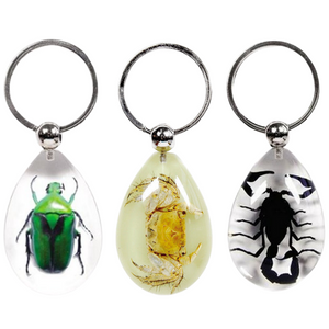 Bug Keychain $5.99