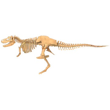 Kit Archéologie Squelette de 3 Dinosaures - Dimensions 18 x 11.5 cm