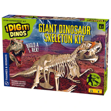 Dr. Steve Hunters Dino Excavation Kit Velociraptor Skeleton
