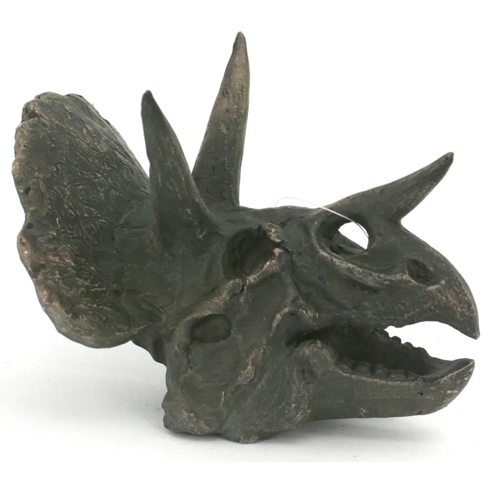 Triceratops Mini Skull Replica