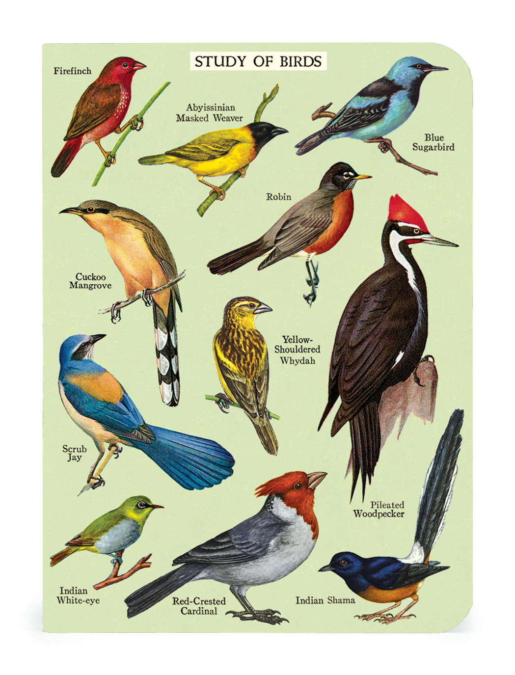 Bird Watching 3 Mini Notebook Set