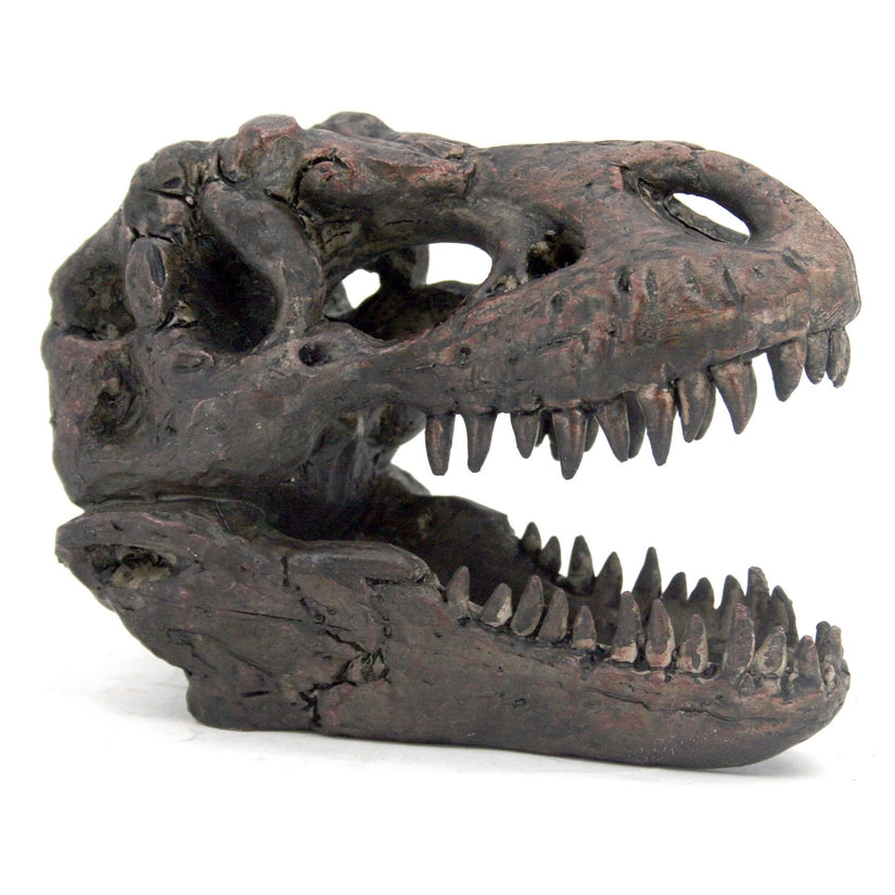 T-rex Mini Skull Replica