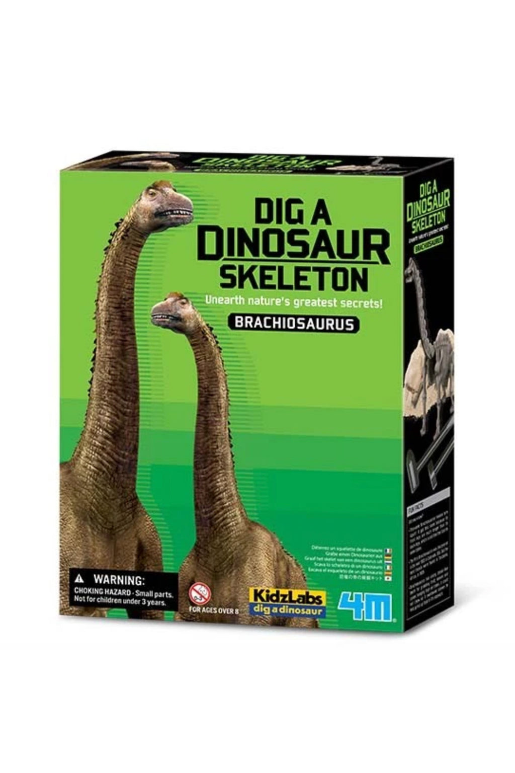 Dig a Brachiosaurus Kit