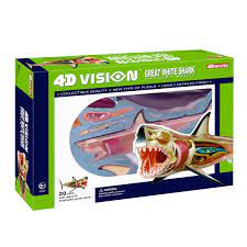 Shark 4D Vision Anatomy Model