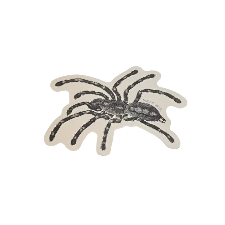 Spider Sticker