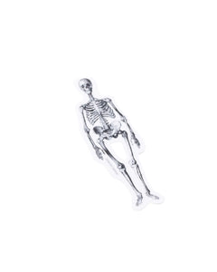 Skeleton Sticker