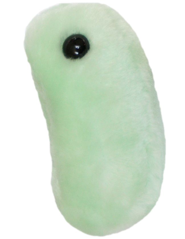 Flu Plush – The Science Museum of Minnesota