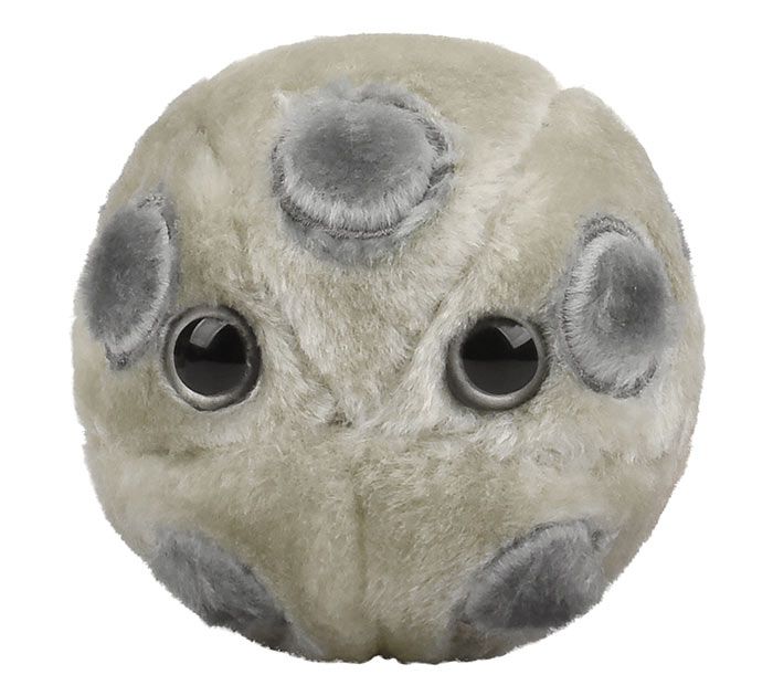 HPV Virus Plush