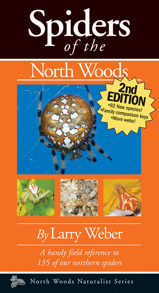 Spiders of the Northwoods