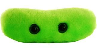 Tuberculosis Plush