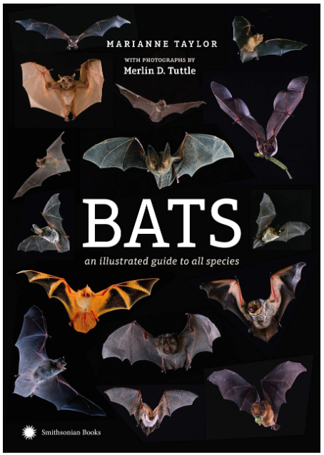 Bats: An Illustrated Guide to all Species